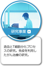 造血とT細胞分化プロセスの研究。免疫を利用したがん治療の研究。